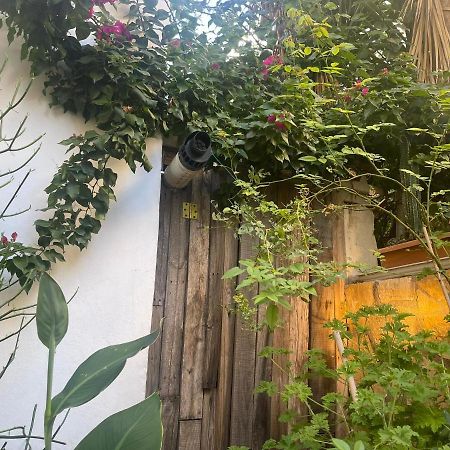 Apartament Eleonora'S Hidden Gem Ateny Zewnętrze zdjęcie
