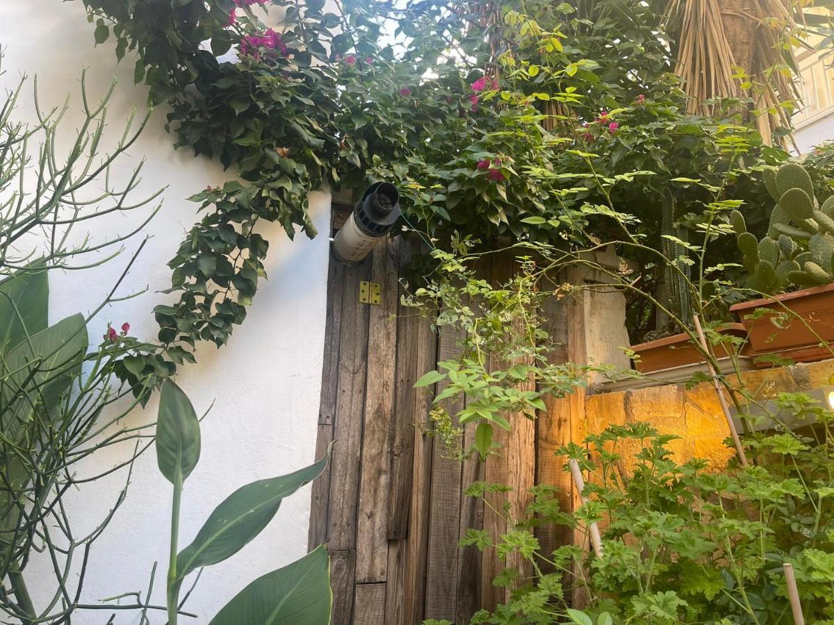 Apartament Eleonora'S Hidden Gem Ateny Zewnętrze zdjęcie