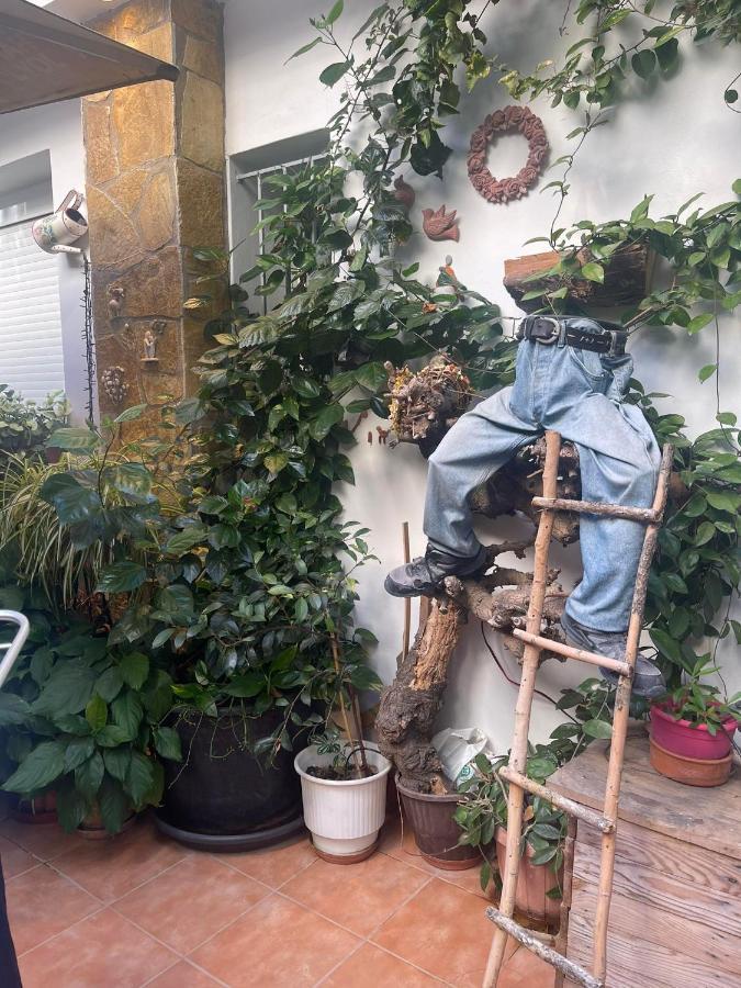 Apartament Eleonora'S Hidden Gem Ateny Zewnętrze zdjęcie