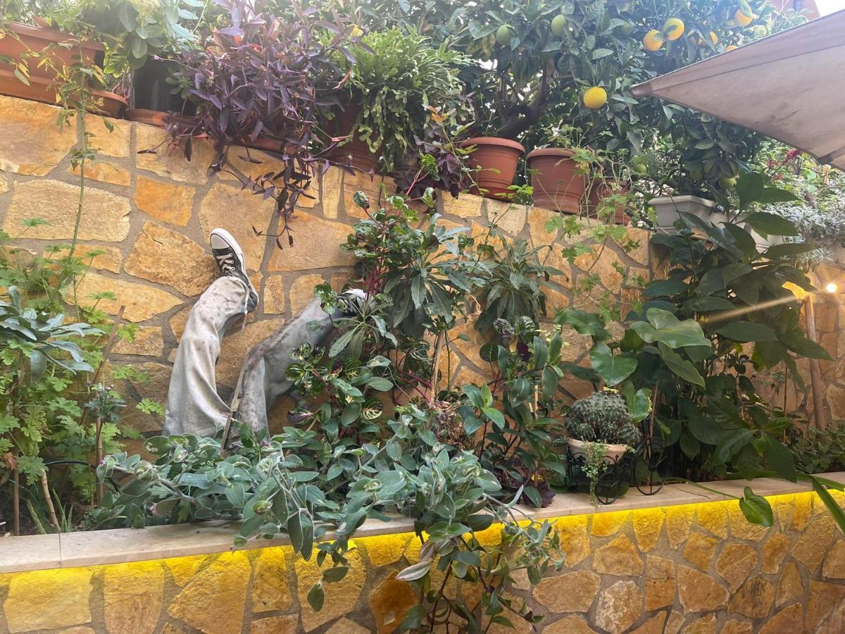 Apartament Eleonora'S Hidden Gem Ateny Zewnętrze zdjęcie